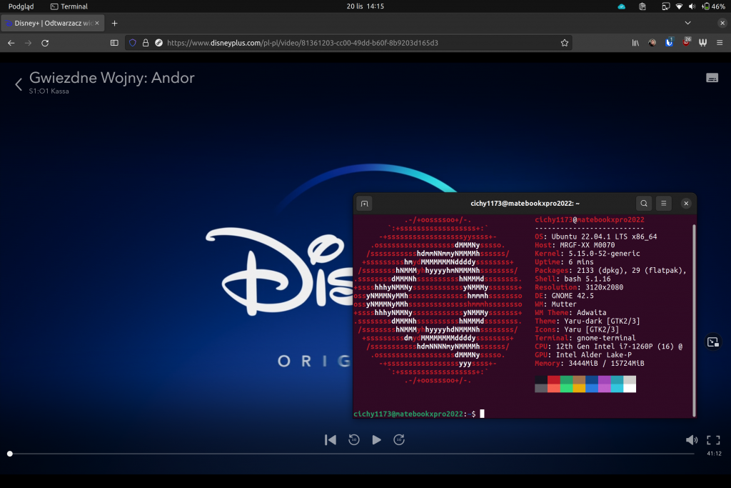 Disney+ na Ubuntu