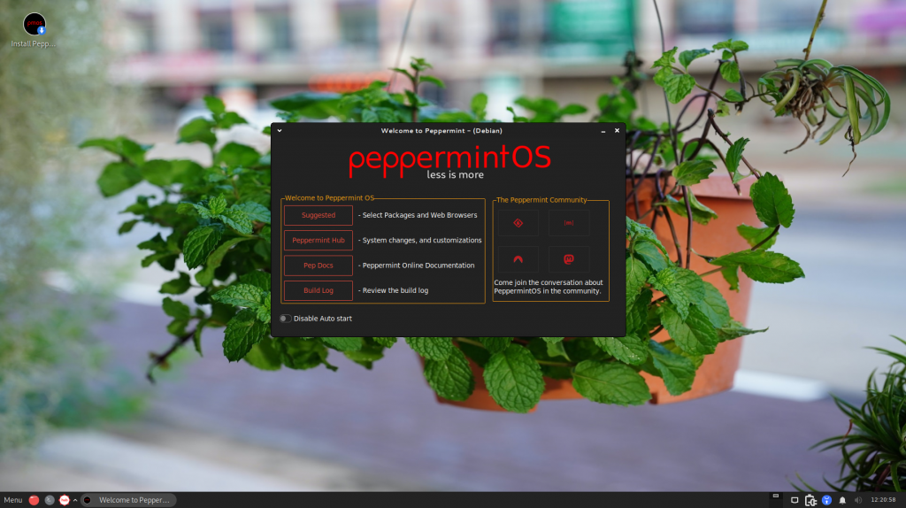 Peppermint OS 