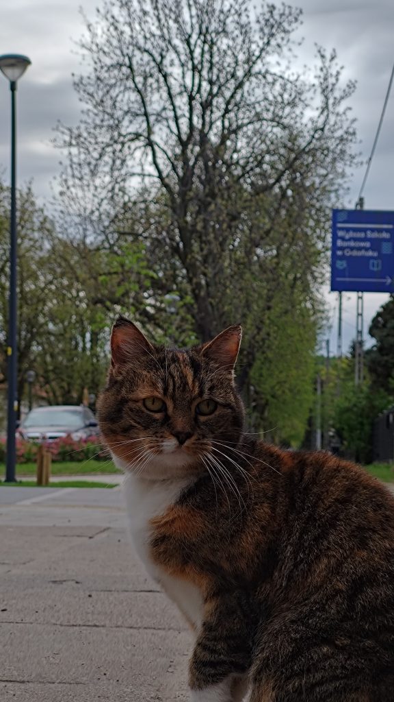 ASUS Zenfone 11 Ultra - Recenzja 524 ASUS Zenfone 11 Ultra - 222 - Teleobiektyw x3