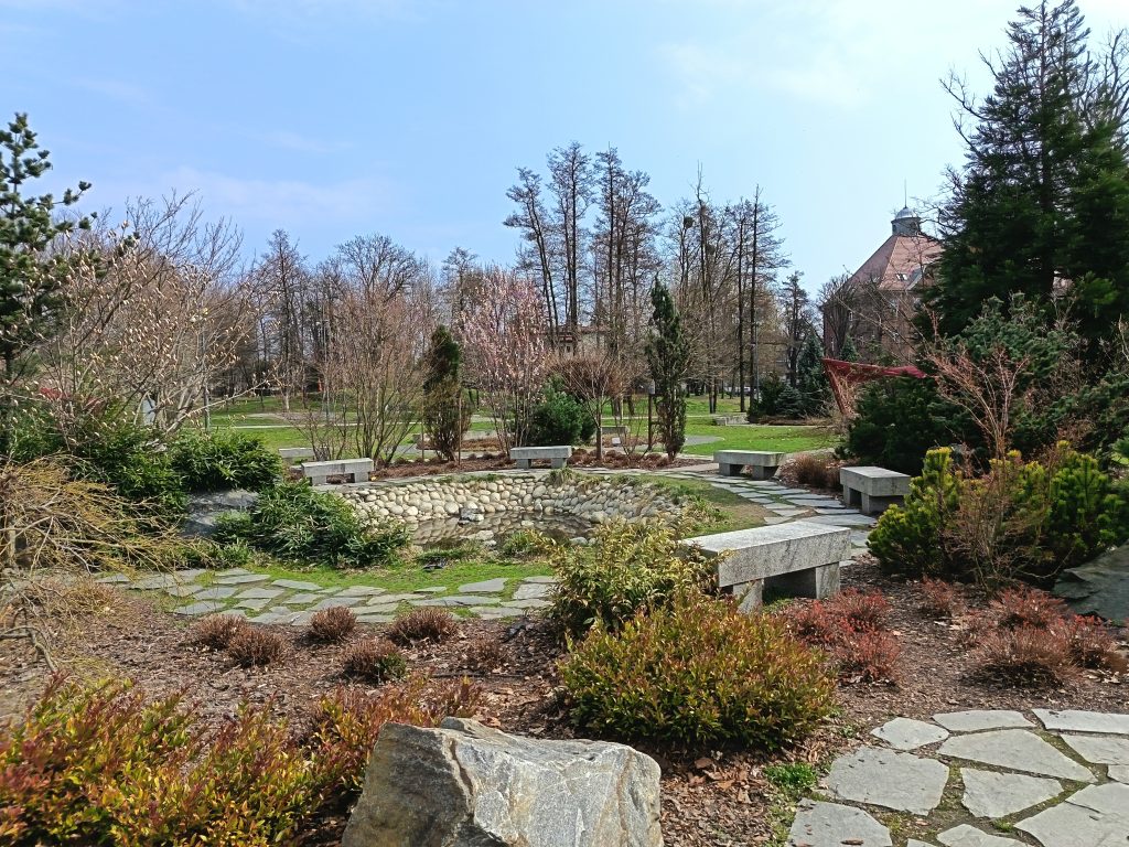 Recenzja HONOR 400 Lite. Czy to dobry wybór w średniej półce cenowej? 26 Recenzja HONOR 400 Lite. Czy to dobry wybór w średniej półce cenowej?