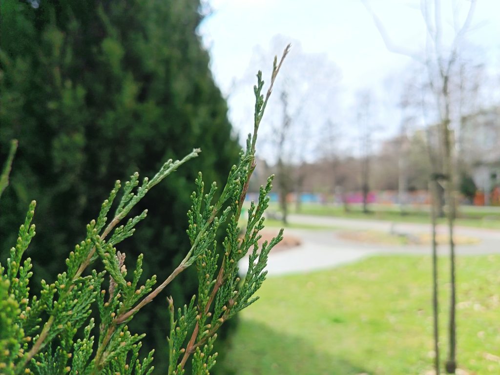 Recenzja HONOR 400 Lite. Czy to dobry wybór w średniej półce cenowej? 29 Recenzja HONOR 400 Lite. Czy to dobry wybór w średniej półce cenowej?