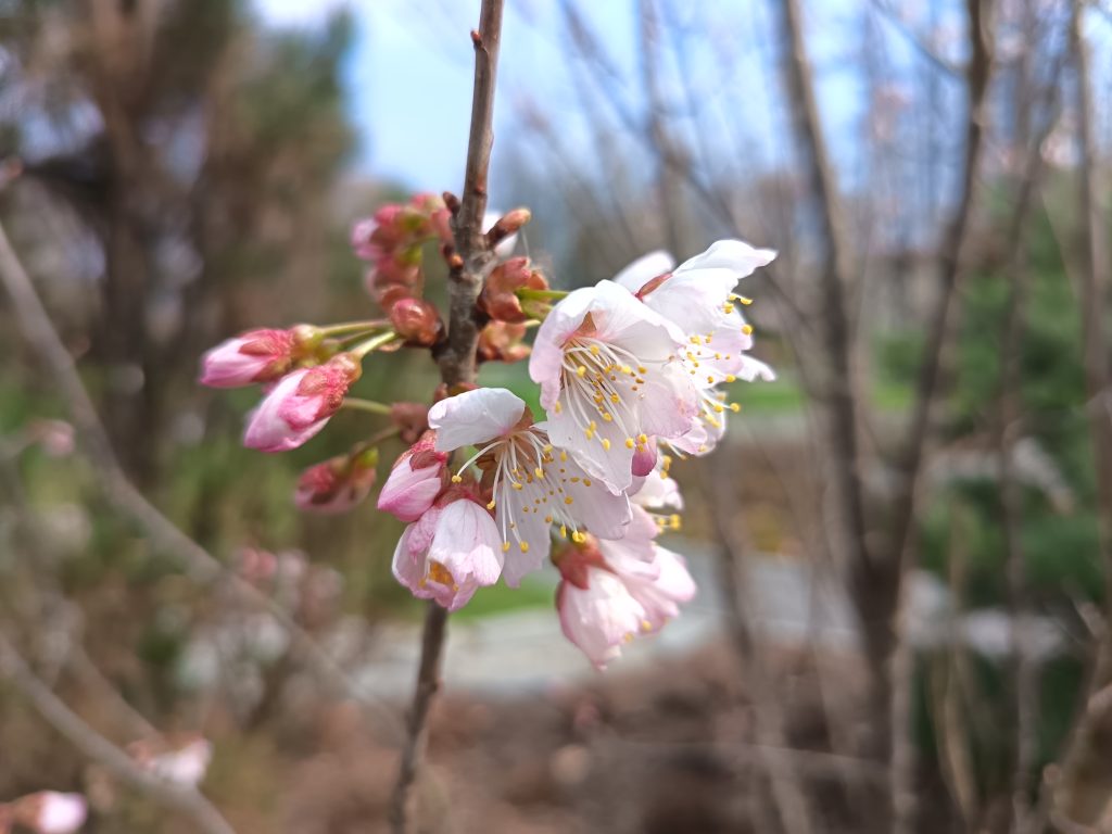 Recenzja HONOR 400 Lite. Czy to dobry wybór w średniej półce cenowej? 31 Recenzja HONOR 400 Lite. Czy to dobry wybór w średniej półce cenowej?