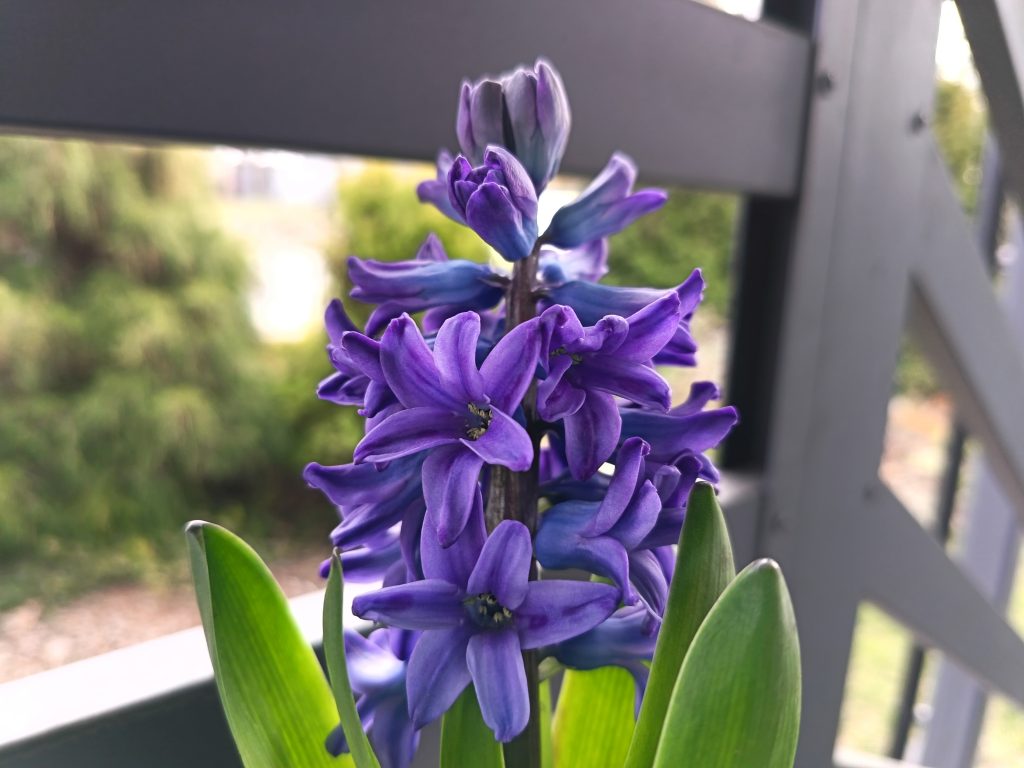 Recenzja HONOR 400 Lite. Czy to dobry wybór w średniej półce cenowej? 30 Recenzja HONOR 400 Lite. Czy to dobry wybór w średniej półce cenowej?