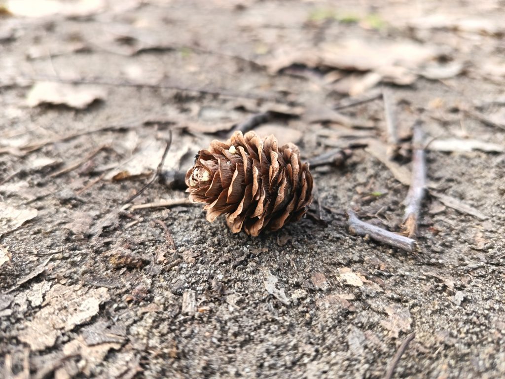 Recenzja HONOR 400 Lite. Czy to dobry wybór w średniej półce cenowej? 33 Recenzja HONOR 400 Lite. Czy to dobry wybór w średniej półce cenowej?