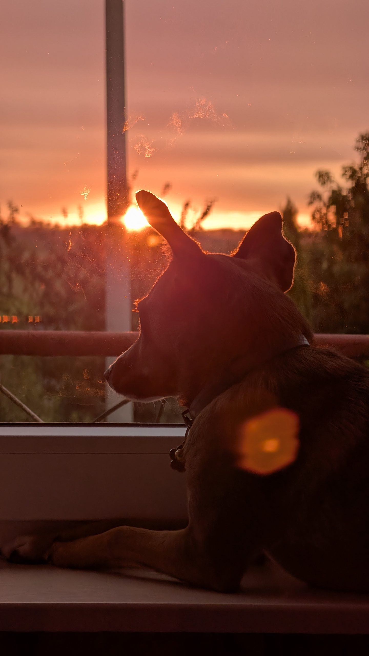 Google Pixel 10 Pro XL - Recenzja 82 Google Pixel 10 Pro XL - 137 - Teleobiektyw x5