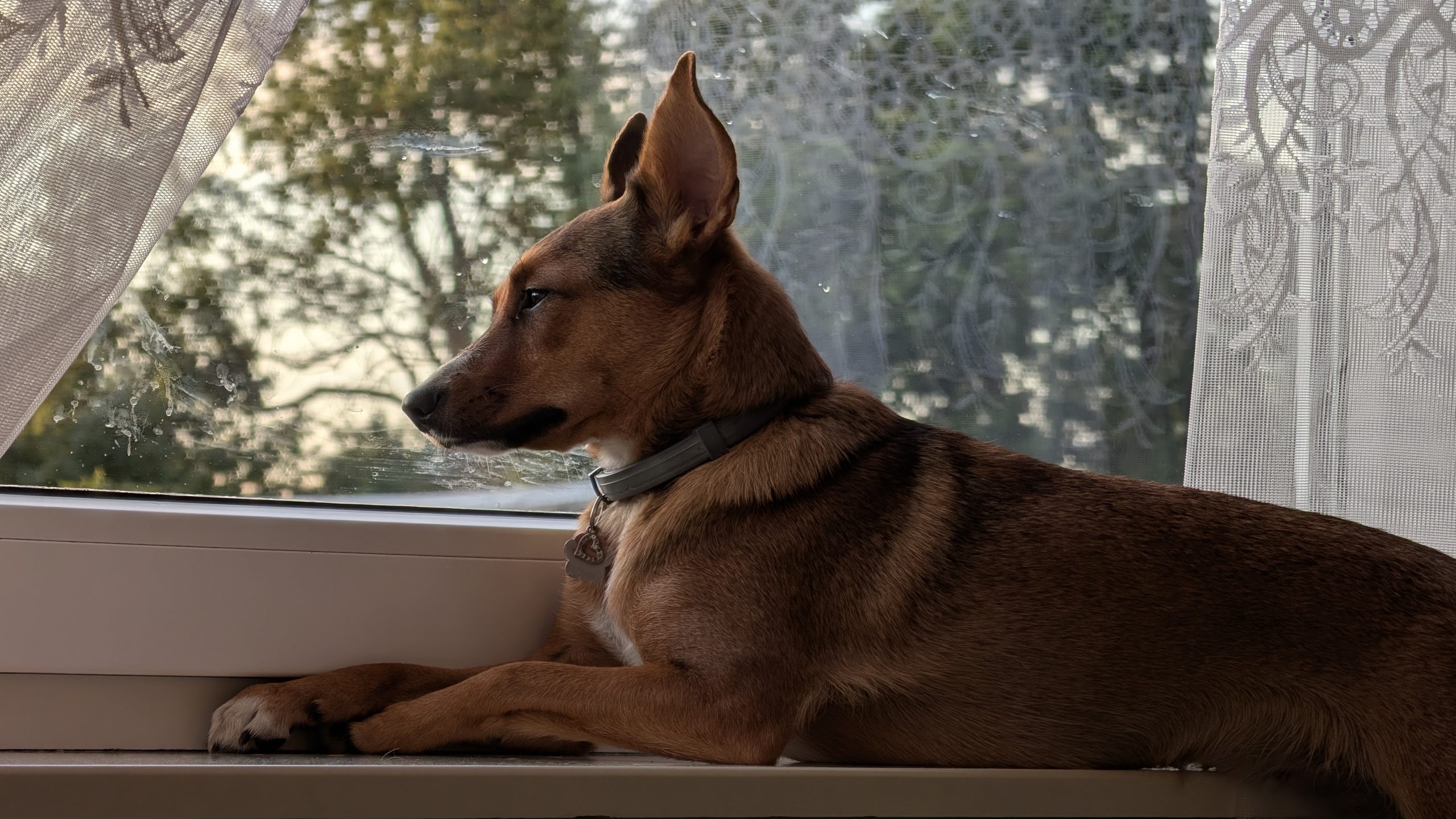 Google Pixel 10 Pro XL - Recenzja 75 Google Pixel 10 Pro XL - 14 - Teleobiektyw x5