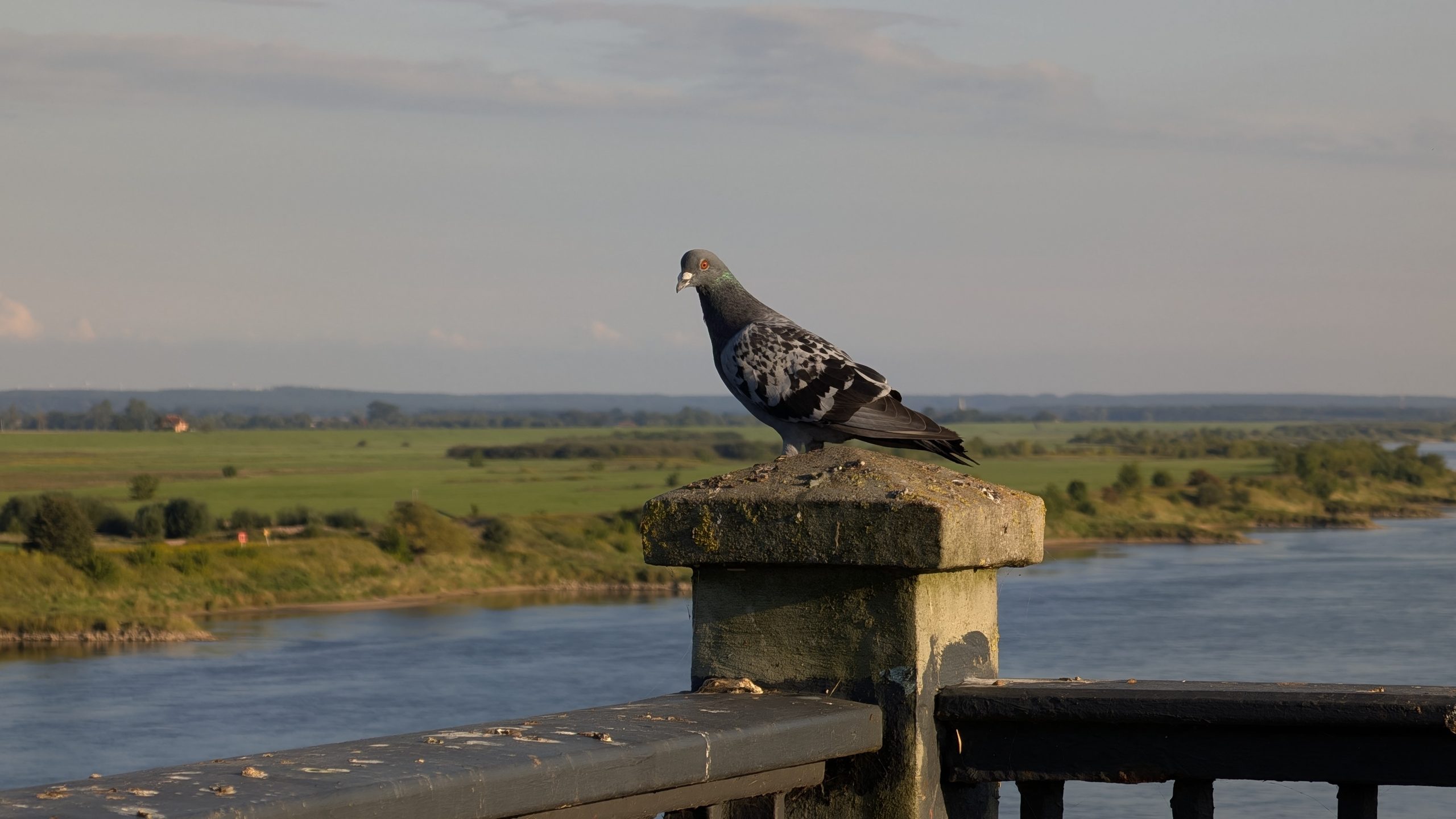 Google Pixel 10 Pro XL - Recenzja 81 Google Pixel 10 Pro XL - 63 - Teleobiektyw x5