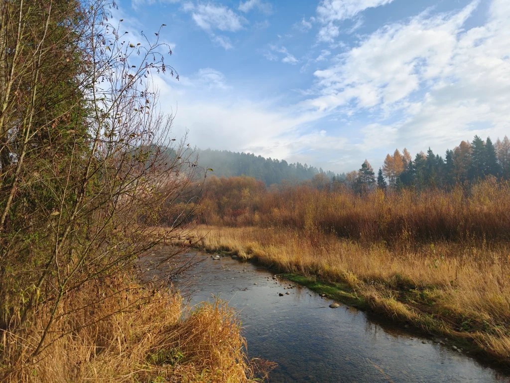 OPPO Find X9 to flagowiec bez fajerwerków, ale z solidnym charakterem 31 OPPO Find X9 to flagowiec bez fajerwerków, ale z solidnym charakterem