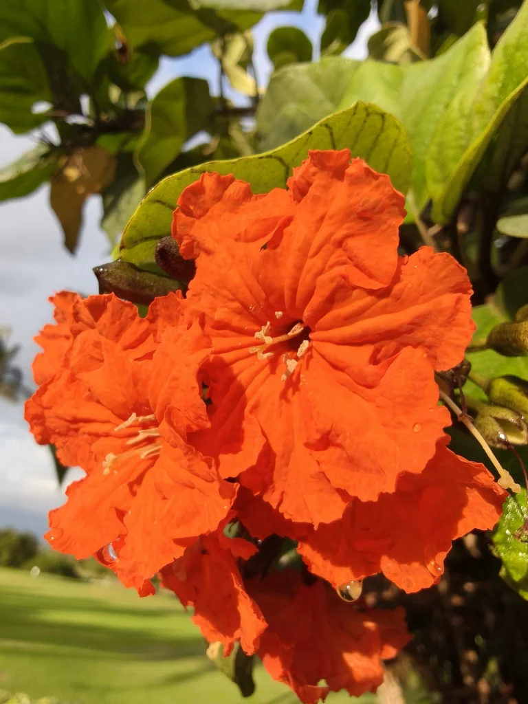 OPPO Reno15 Pro 5G - nowy wymiar fotografii podróżniczej? 19 OPPO Reno15 Pro 5G - nowy wymiar fotografii podróżniczej?