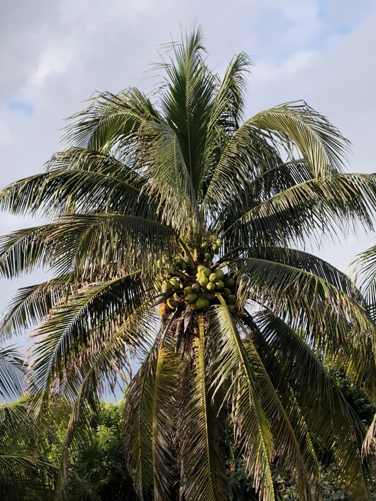 OPPO Reno15 Pro 5G - nowy wymiar fotografii podróżniczej? 16 OPPO Reno15 Pro 5G - nowy wymiar fotografii podróżniczej?