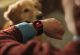 Huawei Watch D3 już w Polsce. Ten smartwatch mierzy ciśnienie jak urządzenie medyczne