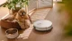 Nowe roboty Dreame już w Polsce! Flagowe rozwiązania w trzech odsłonach