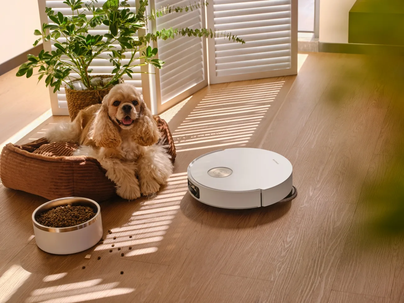 Nowe roboty Dreame już w Polsce! Flagowe rozwiązania w trzech odsłonach